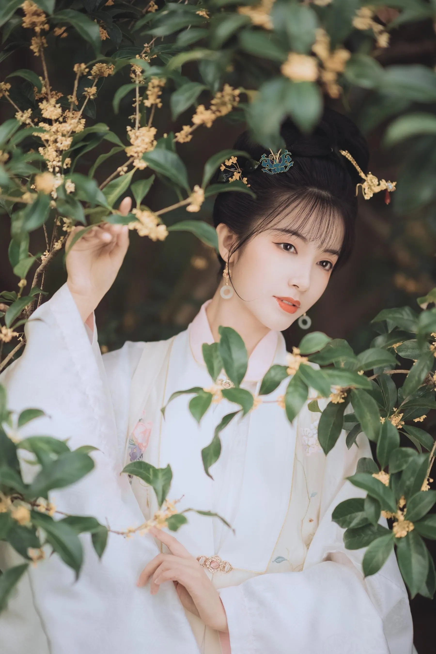 [YITUYU艺图语]2021.11.22 桂花酿 一只阿梦崽 [36P]插图1